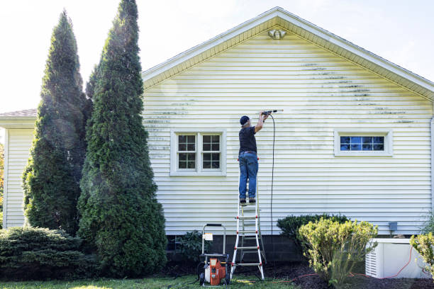 Best Roof Pressure Washing  in Knik Fairview, AK